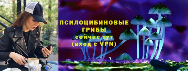 прущие крисы Алзамай