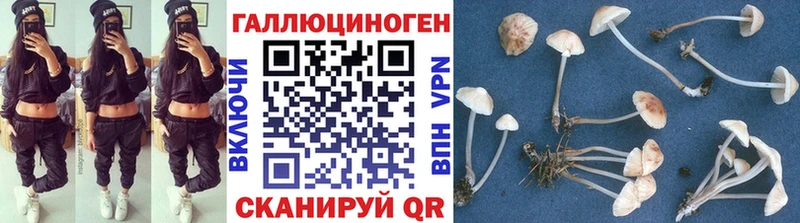 сколько стоит  Орёл  Псилоцибиновые грибы прущие грибы 